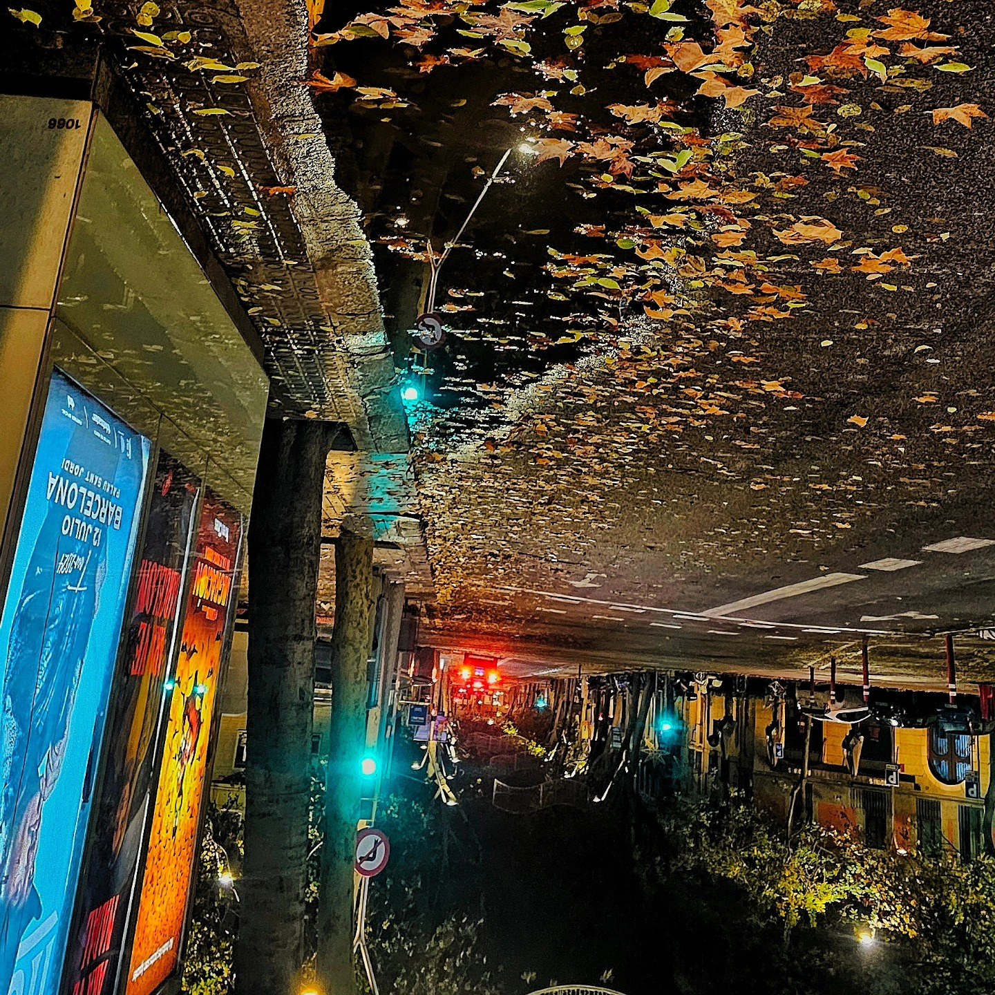 Fotografía invertida (efecto espejo o reflejo) de una calle nocturna barcelonesa, con lo que parece ser el reflejo de un techo cubierto de hojas de otoño sobre el asfalto mojado, luces de…