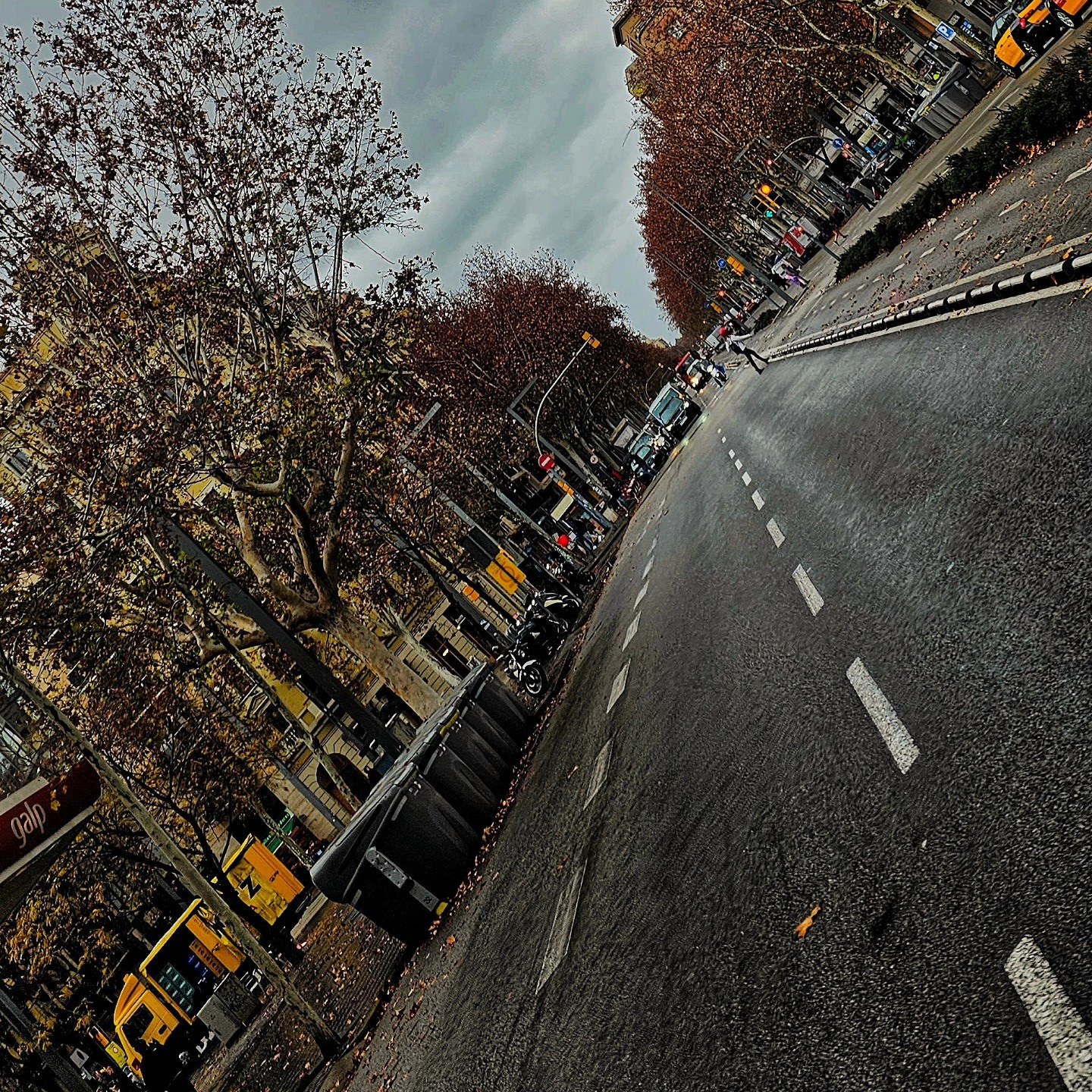 Reflejo invertido de una avenida con árboles de otoño, coches estacionados y una estación de servicio Galp visible a la izquierda, bajo un cielo nublado.