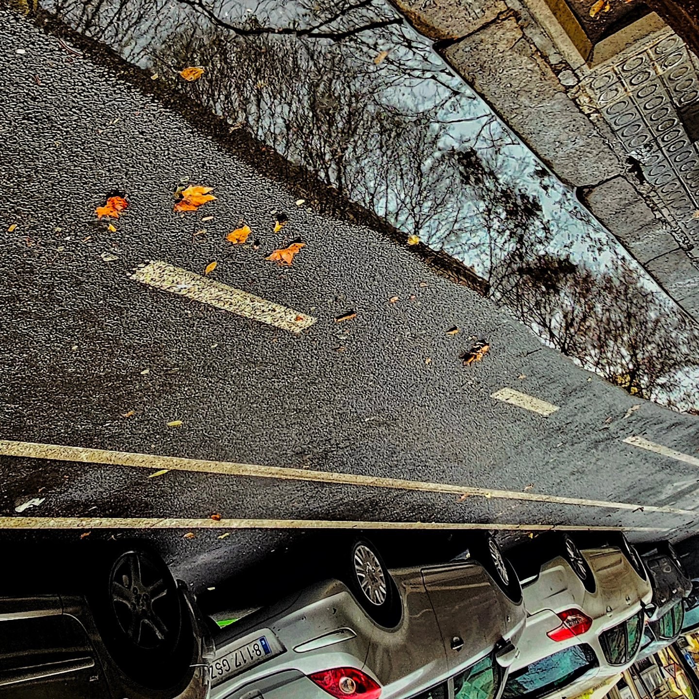 Reflejo invertido de una calle con hojas secas dispersas sobre el pavimento y autos estacionados en la parte inferior de la imagen, con ramas desnudas de árboles reflejadas contra un cielo…