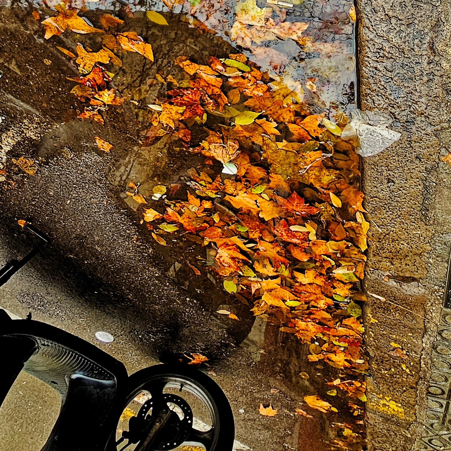 Reflejo invertido de una acumulación de hojas de otoño flotando en un charco junto al cordón de la vereda, con la rueda y el guardabarros de una moto estacionada visibles en primer plano.