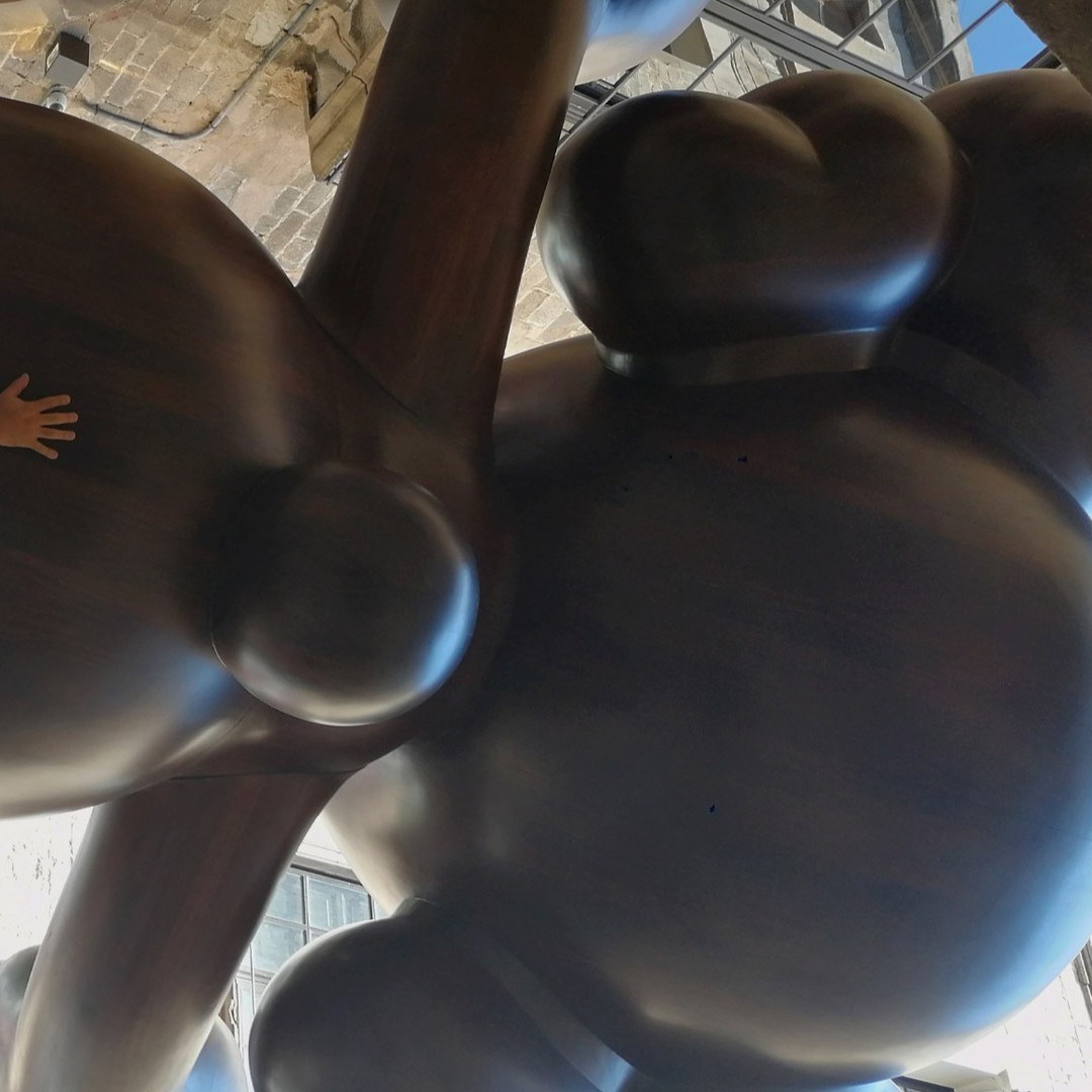 Plano cenital muy cercano de la misma escultura de madera oscura, mostrando sus volumenes curvos y brillantes como grandes esferas conectadas.