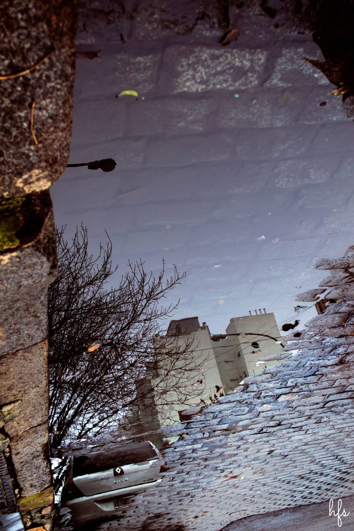 Reflejo abstracto en un charco de dos varas o pértigas inclinadas (posiblemente soportes de micrófono) contra un fondo de adoquines, con hojas amarillas y una mancha azul flotando en la…