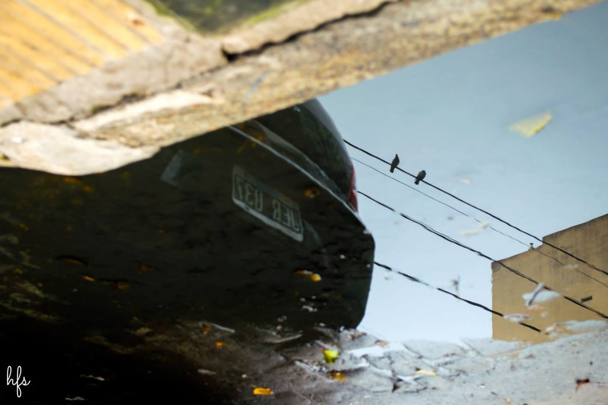 Fotografía a color del reflejo invertido de la parte trasera de un auto oscuro con patente visible, junto a dos palomas posadas sobre cables eléctricos reflejados contra un cielo celeste…