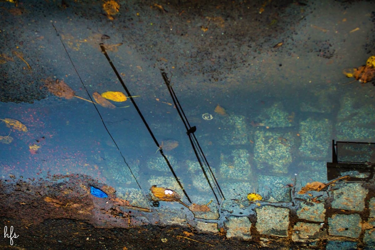 Reflejo en un charco de fachadas de edificios de departamentos con balcones, ramas sin hojas y un cielo azul intenso, con hojas caídas y pequeños desechos flotando en la superficie del agua…