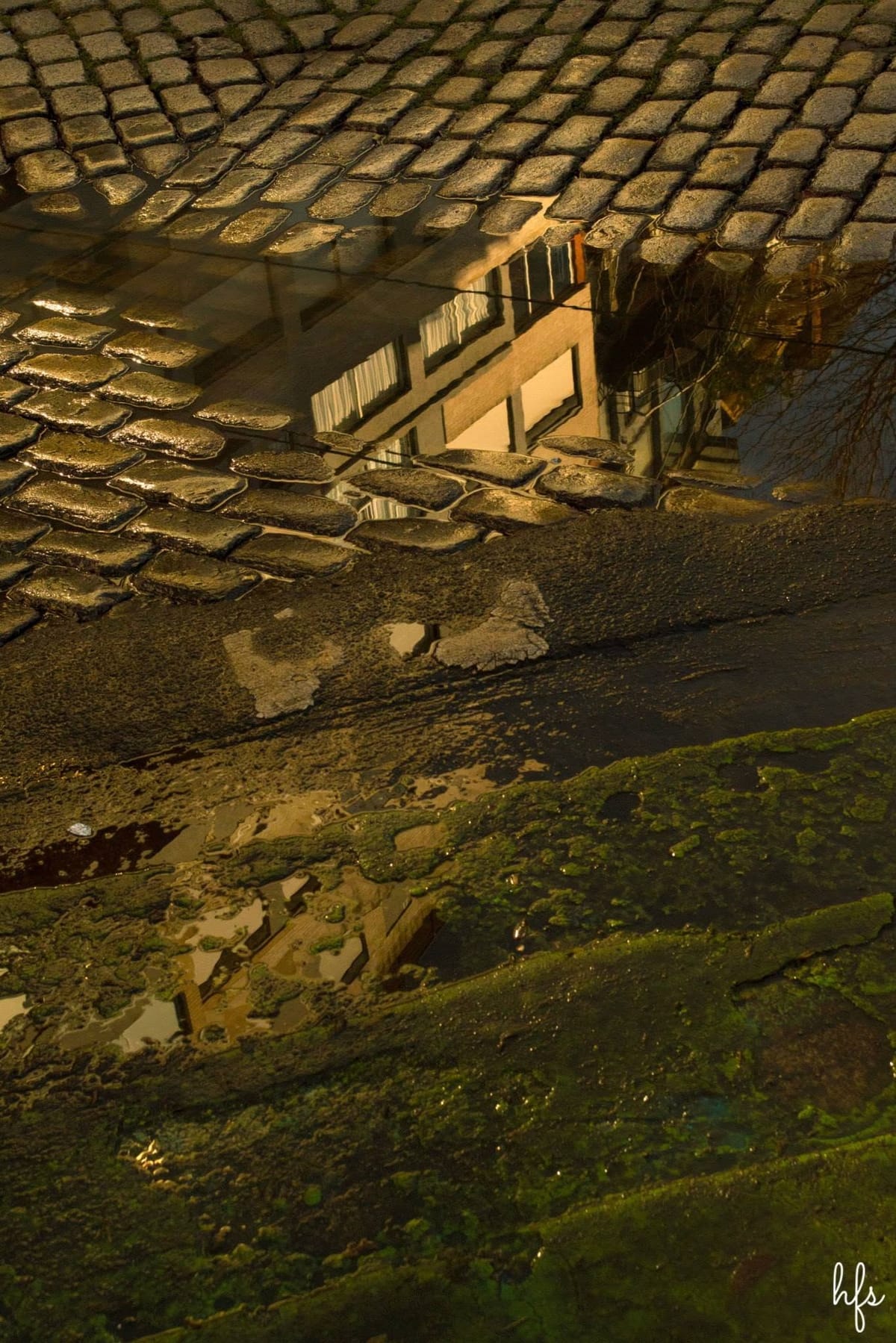 Fotografía de un charco sobre adoquines que refleja, invertida, la fachada de un edificio con ventanas y cortinas, enmarcada por musgo verde y asfalto mojado en la parte inferior.