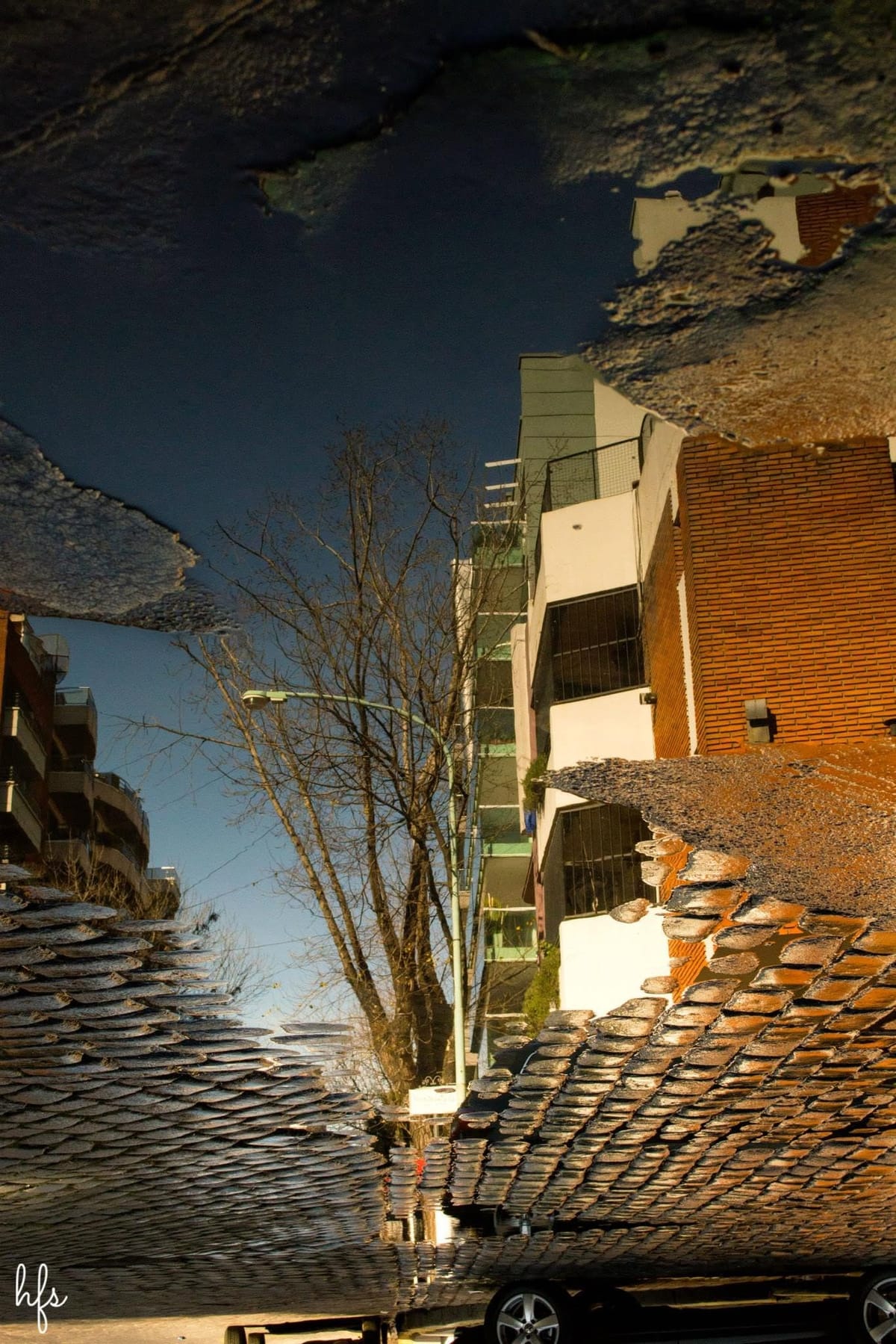 Reflejo en un charco de un edificio bajo, ramas secas y la parte trasera de un auto blanco estacionado, con hojas amarillas y una bolsa azul flotando en la superficie del agua sobre…