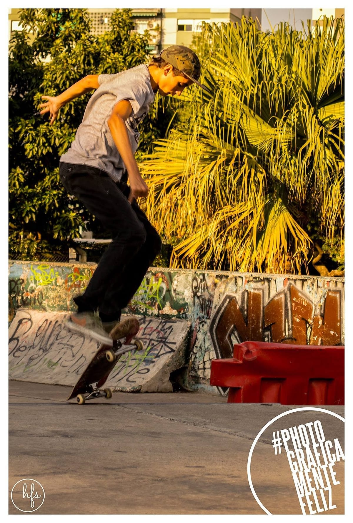 Fotografía a color de un joven con gorra hacia atrás saltando con su skate (ollie) frente a una palmera iluminada por luz dorada, sobre un muro de cemento grafiteado en un parque.