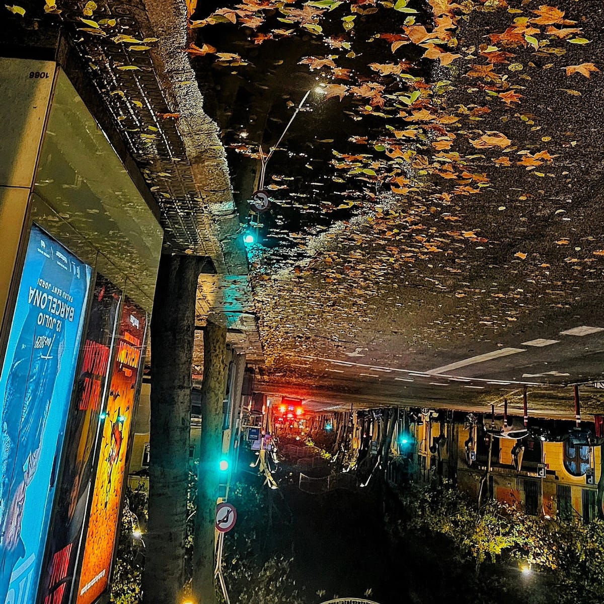 Fotografía invertida (efecto espejo o reflejo) de una calle nocturna barcelonesa, con lo que parece ser el reflejo de un techo cubierto de hojas de otoño sobre el asfalto mojado, luces de…