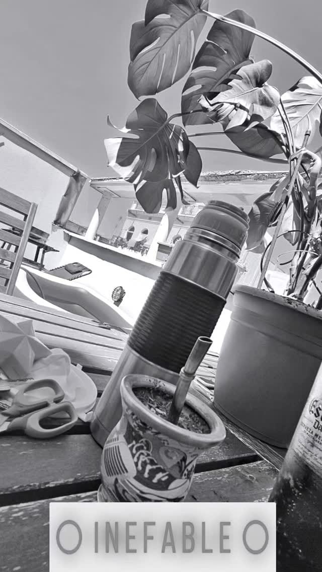 Plano fijo en blanco y negro de una mesa de terraza soleada con una calabaza de mate, un termo metálico y una maceta de monstera en primer plano; al fondo se ve una tumbona, una silla…
