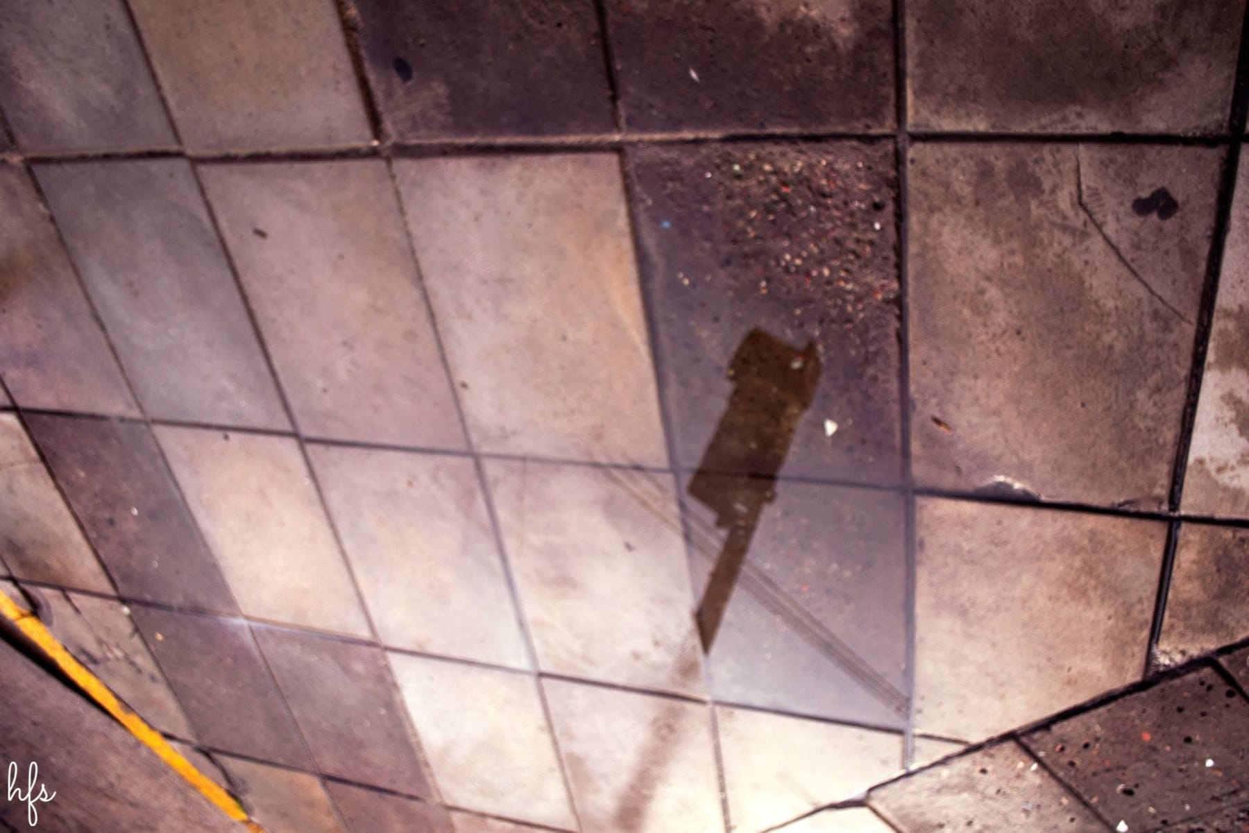 Reflejo en un charco de un poste de luz con cables, un farol y la copa de un árbol sin hojas, todo invertido y recortado sobre baldosas mojadas que enmarcan la escena como una ventana…