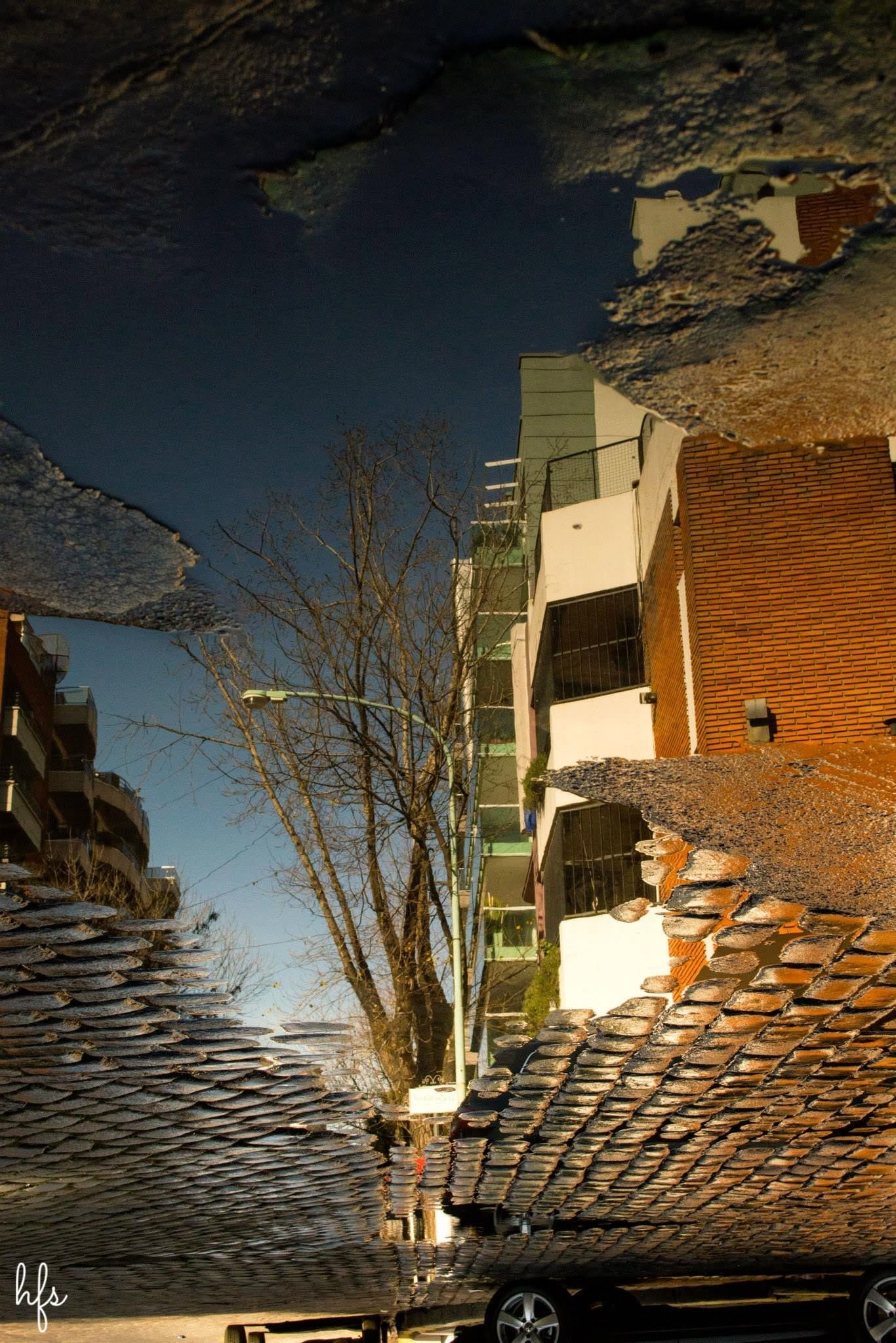Reflejo en un charco de un edificio bajo, ramas secas y la parte trasera de un auto blanco estacionado, con hojas amarillas y una bolsa azul flotando en la superficie del agua sobre…