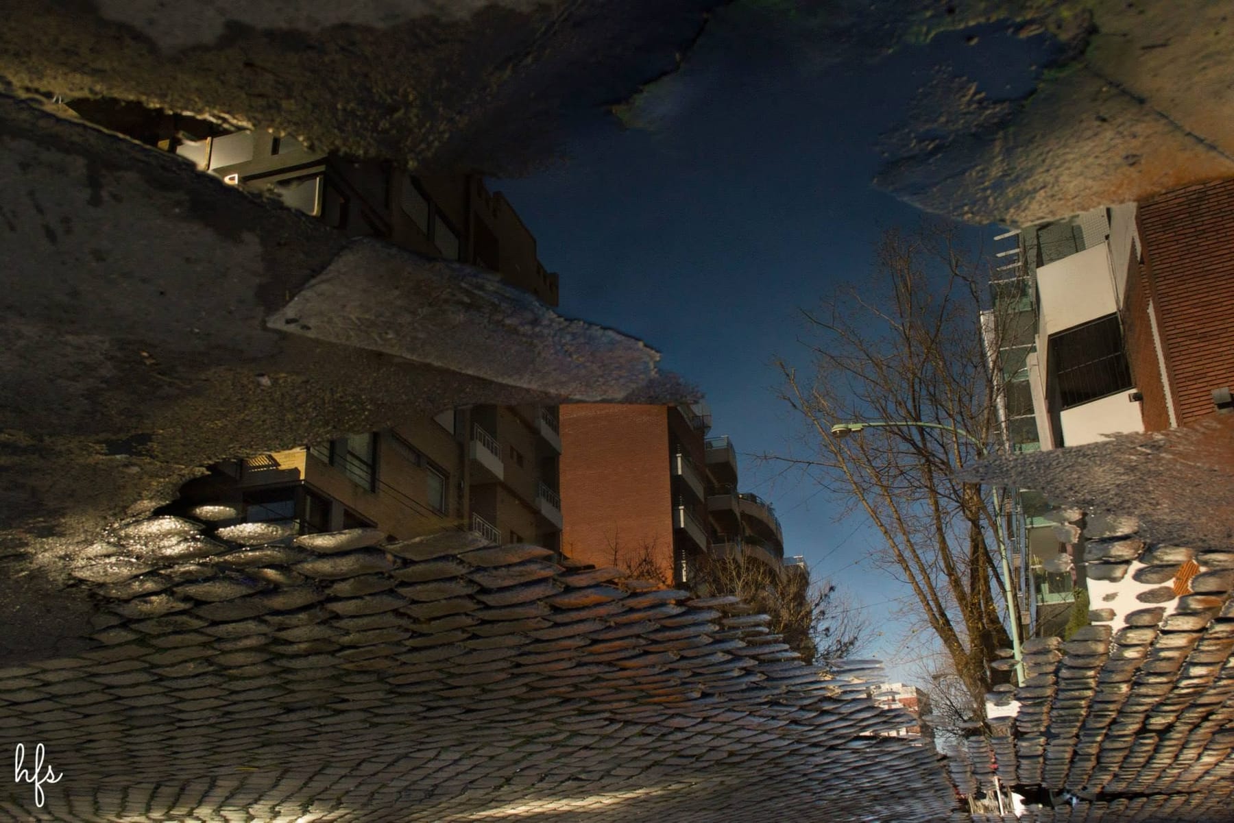 Charco urbano que refleja, invertida, una hilera de balcones y un árbol sin hojas contra un cielo azul nocturno, con la calzada y un paso peatonal visibles en primer plano.