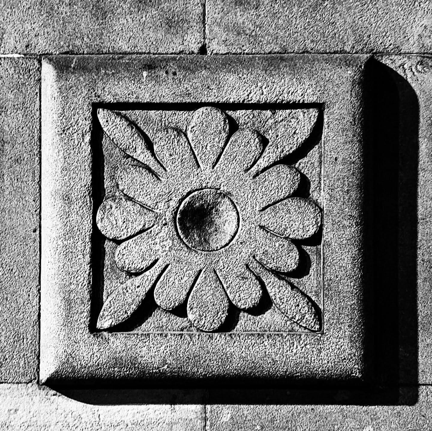 Macro en blanco y negro de un relieve tallado en piedra con forma de flor de ocho petalos dentro de un marco cuadrado, con fuerte contraste entre la luz rasante y las sombras profundas que…